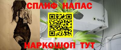 прущие крисы Краснознаменск