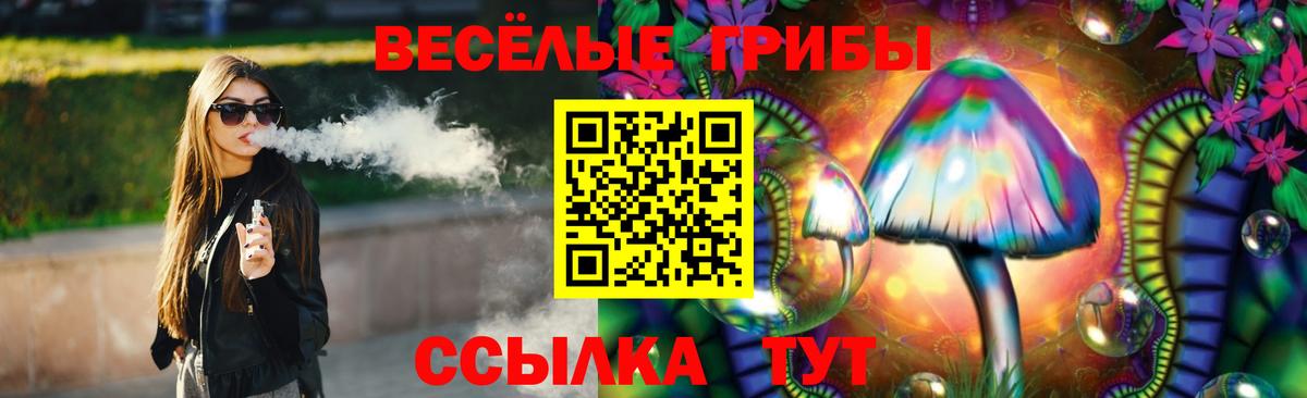 Галлюциногенные грибы GOLDEN TEACHER  Вход с VPN  Псилоцибиновые грибы Cubensis  Карачаевск 